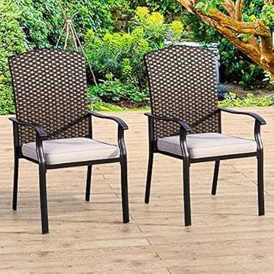 Dining Chairs Set of 2,Wicker Outdoor Dining Chairs Steel Frame Patio Dining Chairs 2 Pieces High Back with Cushion Patio Outdoor Chairs for Garden Backyard Lawn Yard. 61UT5W4ysAL. SS400