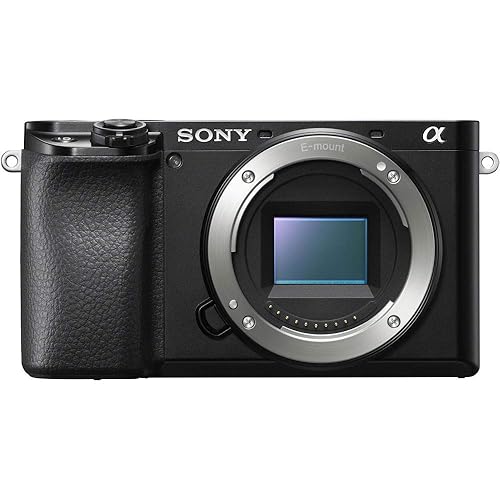Sony Alpha A6100 Mirrorless Camera - Camera Only