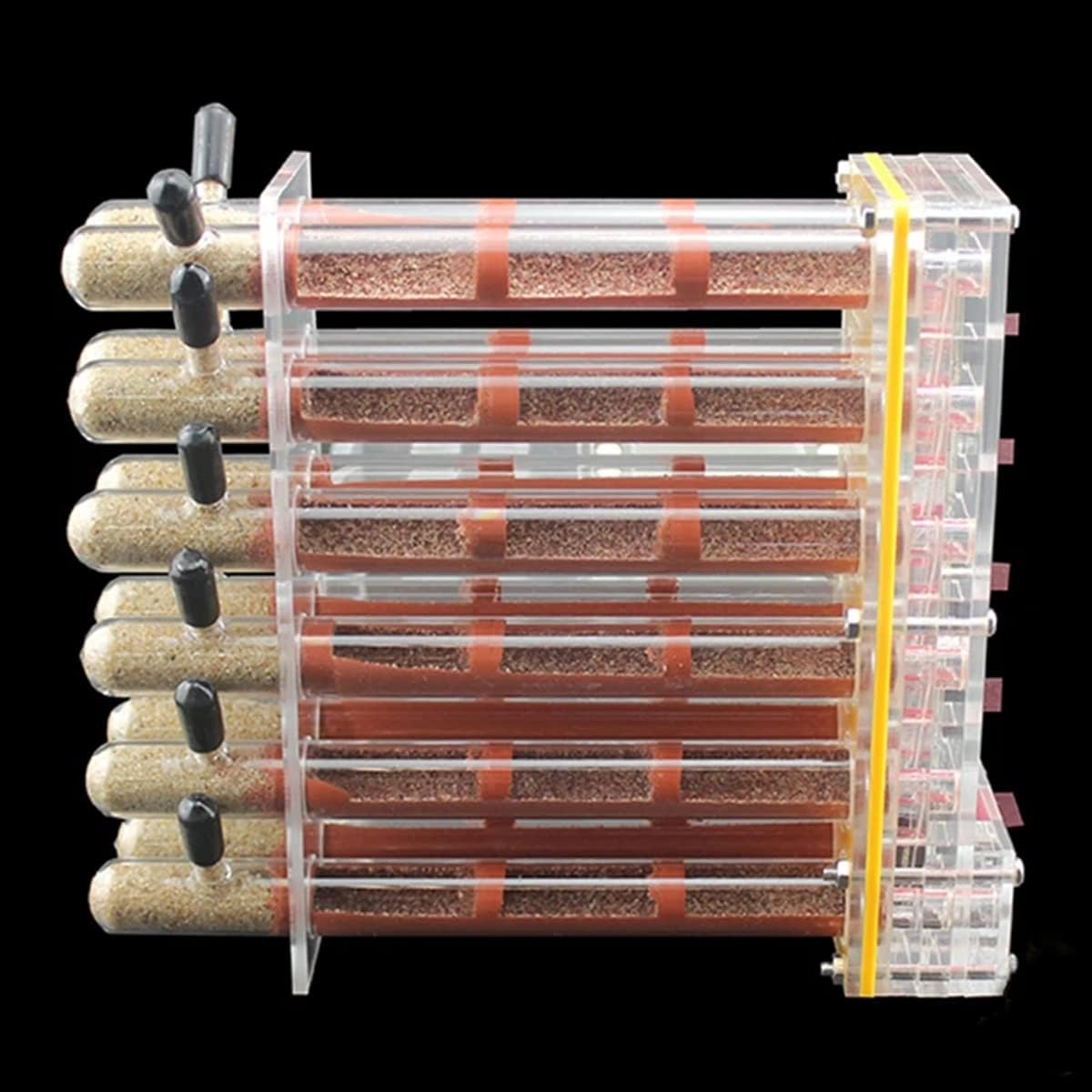 アリの巣 アクリル製 蟻専用飼育ケース 12本の試験管 保湿水塔 アリ飼育キットアリの巣箱 アリ城 観察飼育キット ケースでアリの生