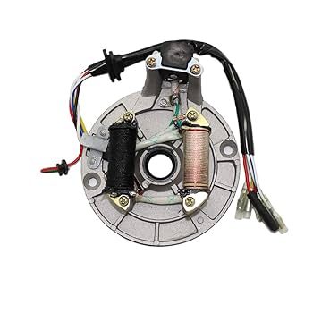 Amazon.com: 2 Coil Ignition Magneto Stator Plate for 50cc