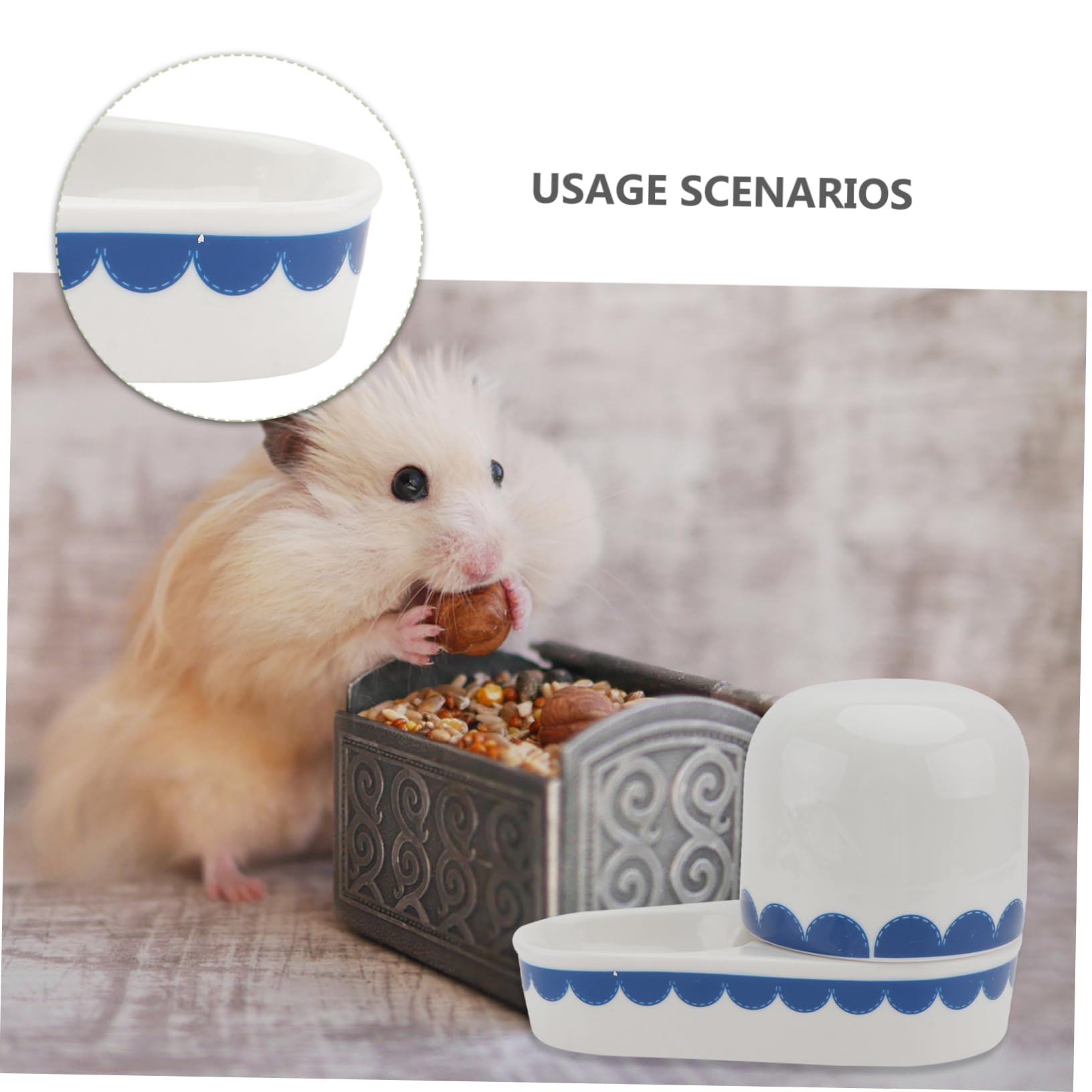 Toddmomy Gamelle d'eau Odeur pour Lapin Surface Lisse en Céramique Abreuvoir Solide pour Animaux Domestiques la Maison