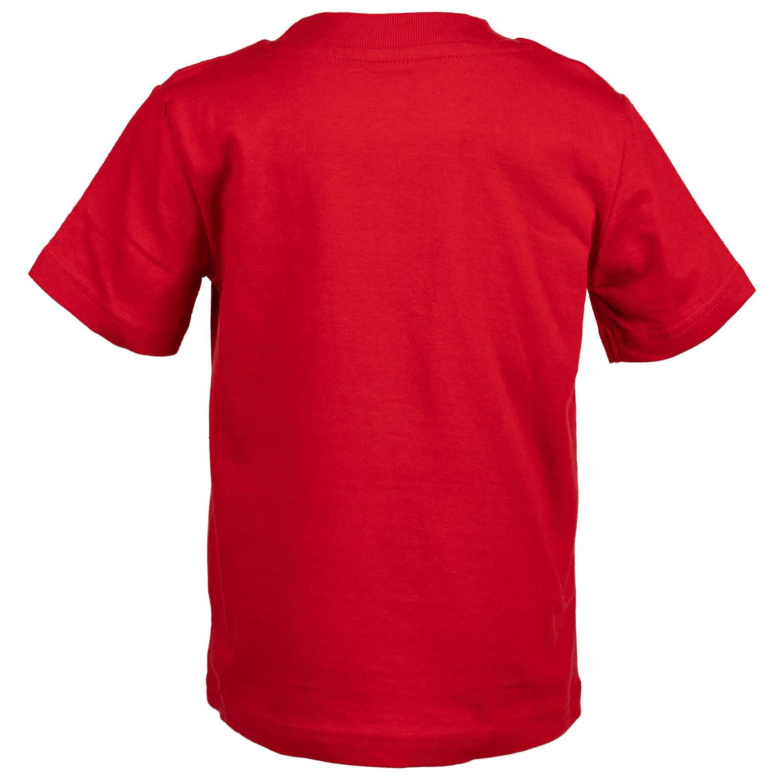 Disney Geburtstagsshirt für Babys und große Jungen (12 Monate, 10-12)
