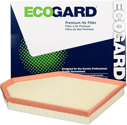 ECOGARD XA10601 - Filtro de aire de motor premium compatible con BMW X3 2.0L 2013-2017, X3 3.0L 2011-2012, X4 2.0L 2015-2018