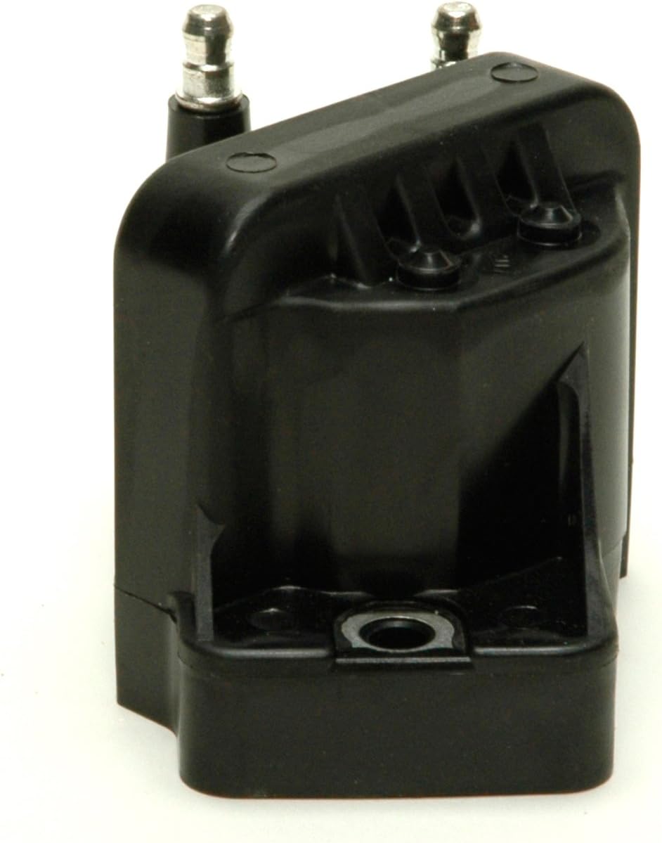 Delphi GN10123 Ignition Coil