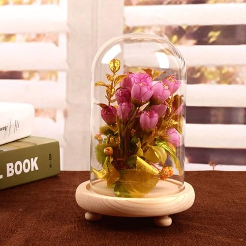 Warmiehomy Campana de Vidrio Decoracion, Campana de Cristal Decorativa con Base de Madera, Cúpula de Vidrio, Cupula de Cristal, Urna Cristal Decorativa, Transparente Cover