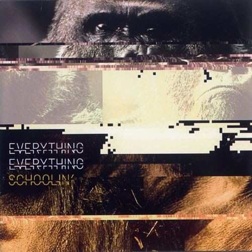 Everything Everything Schoolin'