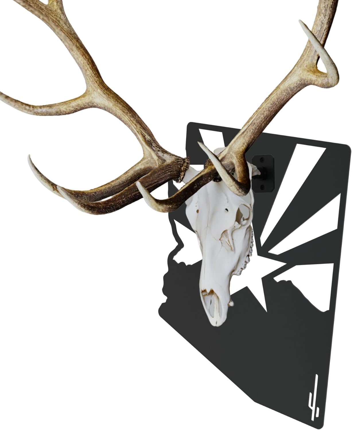 Secure Elk European Mount Skull Hanger Adjustable Large Game Skull Mount Kit for Elk, Moose, and Stag Plaque Compatible European Skull Hanger with Rotational and Angle Adjustment (Plaques)