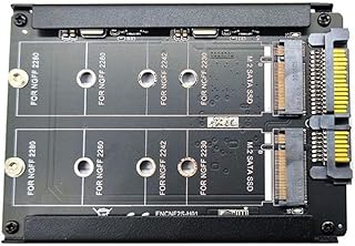 Woedpez M.2 NGFF to Adapter Board Single/Dual-Port SSD 3.0 Adapter 22Pin Port Adapter PC Converter Card Accessories 22pin Adapter