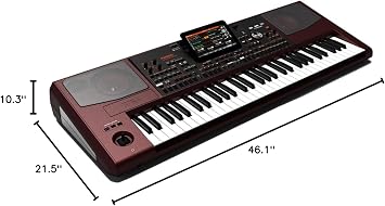 Korg Pa1000 61-Key Professional Arranger