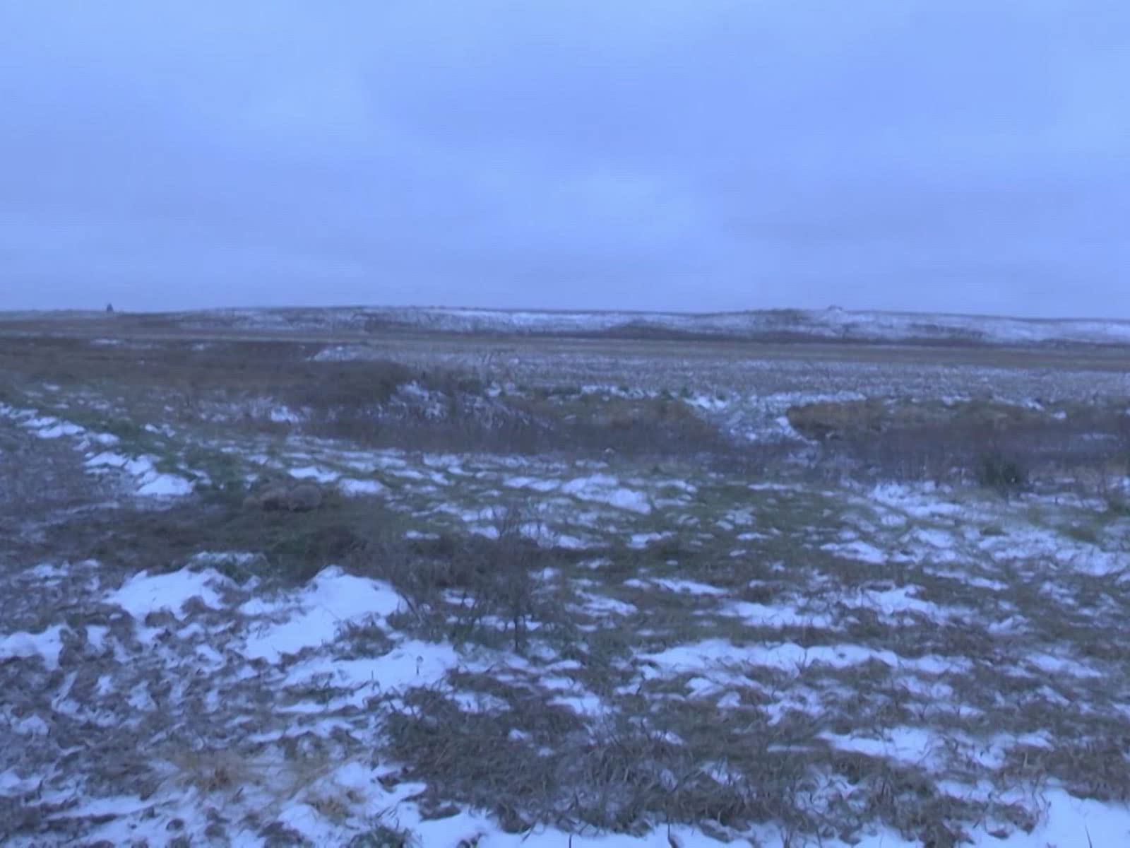 Watch North American Trapper Season 3 Prime Video