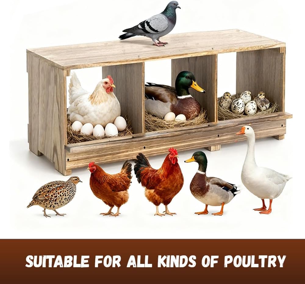 Chicken nesting boxes-similar