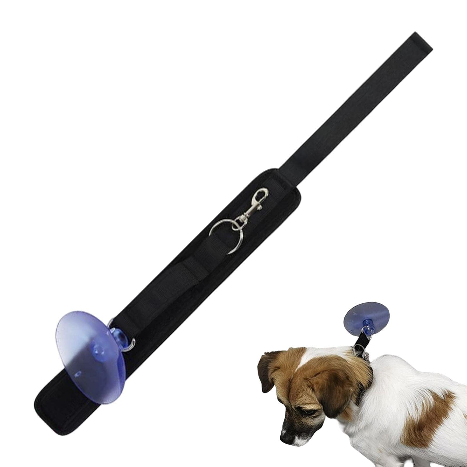 Bain pour Chat,Laisse d'Bain avec Ventouse | Laisse retenue Baignoire toilettage Chien avec Collier réglable pour la et Le toilettage Chat Chien
