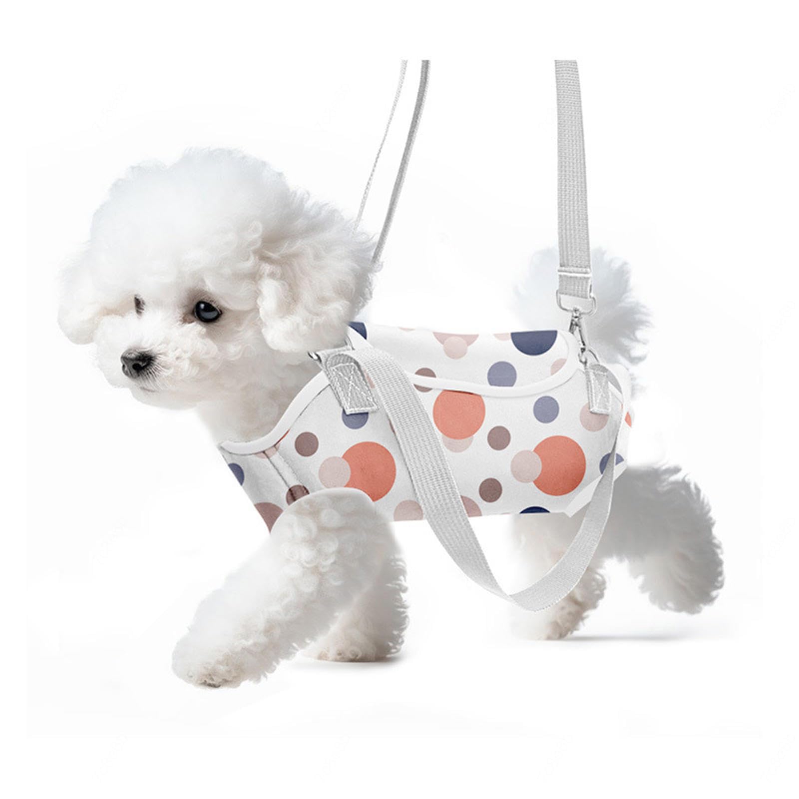 Soft Jacket Step-in-Hunde-/Katzengeschirr und Leine-Set Zum Spazierengehen, Hundegeschirre mit Schnellverschluss für Welpen, Große Katzen, Verstellbar, Leicht,A-M