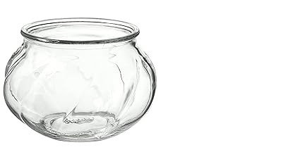 Ikea VILJESTARK Vase, Clear Glass8 Cm (Pack of 1 Piece)