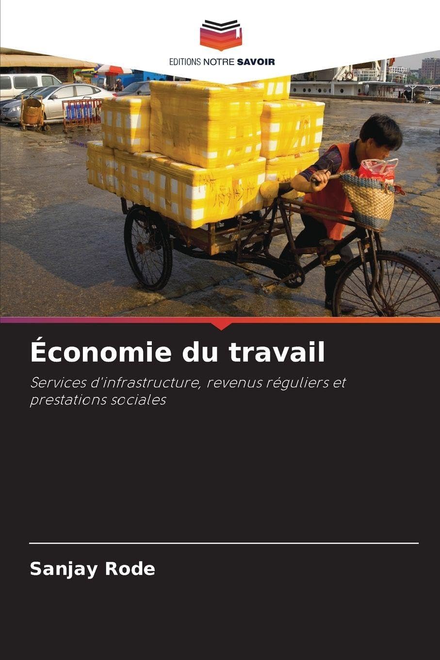 Économie du travail: Services d'infrastructure, revenus réguliers et prestations sociales