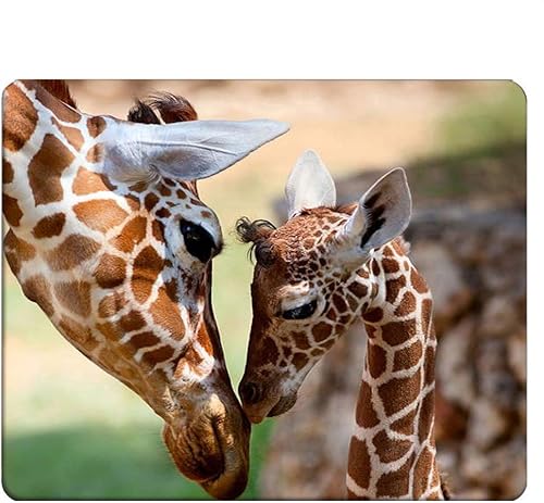 Miniatura 6 de Alfombrilla de mouse rectangular para videojuegos, retro, vintage, para videojuegos, para computadora, escritorio, laptop, oficina, 9.5 x 7.9