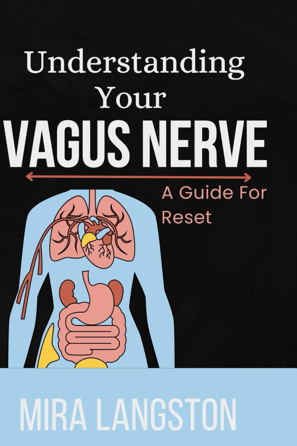 UNDERSTANDING YOUR VAGUS NERVE: A Guide to Reset