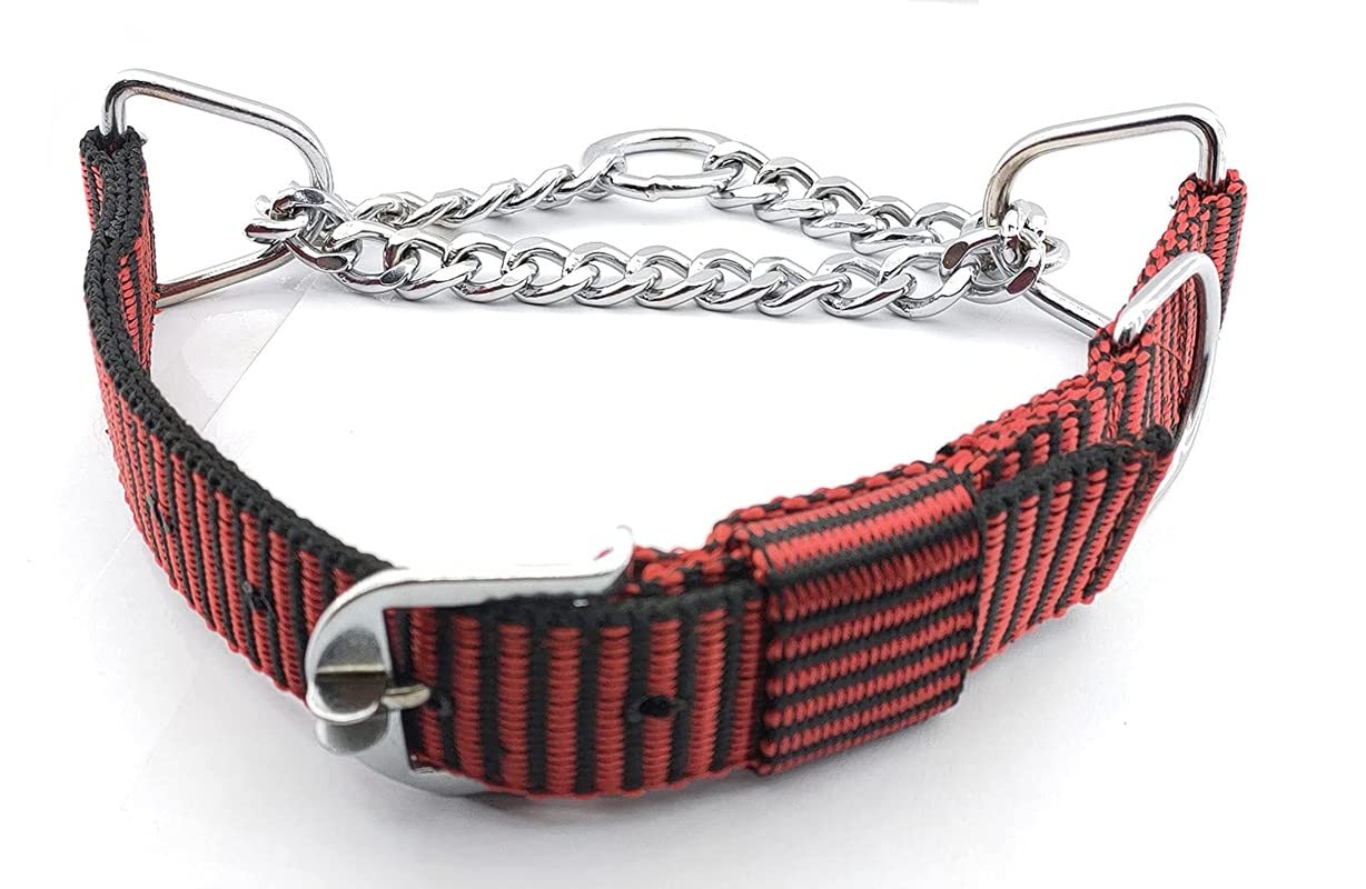 Dog Trust Red Multi Color Nylon 1.5 Inch Dog Choke Chain Collar, Half Collar Half Chain Grinder (X Large Size) 17 (B09TJ351S1) Amazon Price History, Amazon Price Tracker