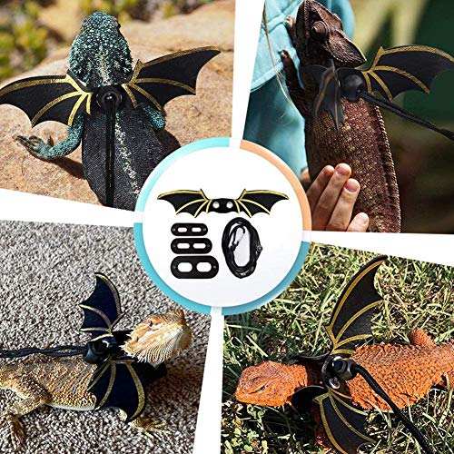 Hagedis riem met vleugels,Verstelbare hagedis tractie touw verstelbare baard draak hagedis harnas - Image 8