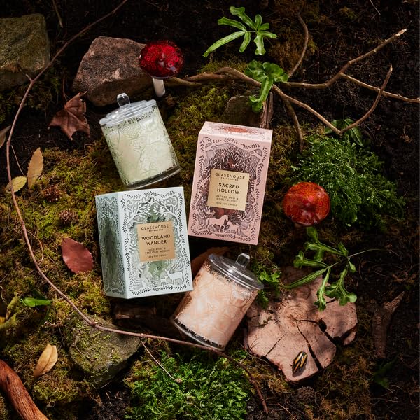 Amazon.com: Glasshouse Fragrances Sacred Hollow Candle, Triple 