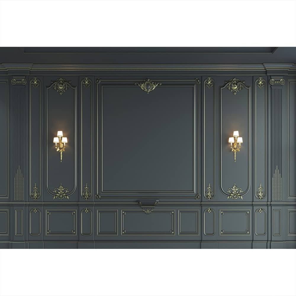 Aoihrraan 3x2,5m Parete Interna Backdrop Indoor Stanza Vuota Barocco Nero Vintage Elegante Stile Europeo Fotografia Sfondo Bambini Adulto Giovane Ritratto Artistico Photo Studio Props Sfondo