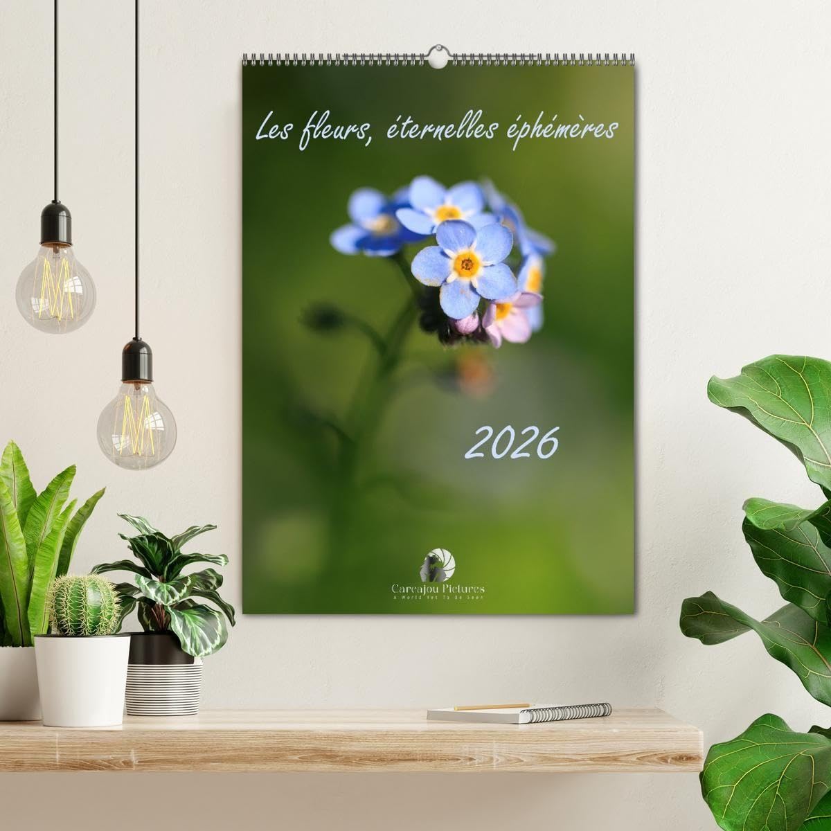 Les fleurs, éternelles éphemères (Calendrier mural 2027 DIN A2 horizontal), CALVENDO calendrier mensuel: Un calendrier poétique qui capture, mois ... fleurs dans toute leur splendeur éphémère.