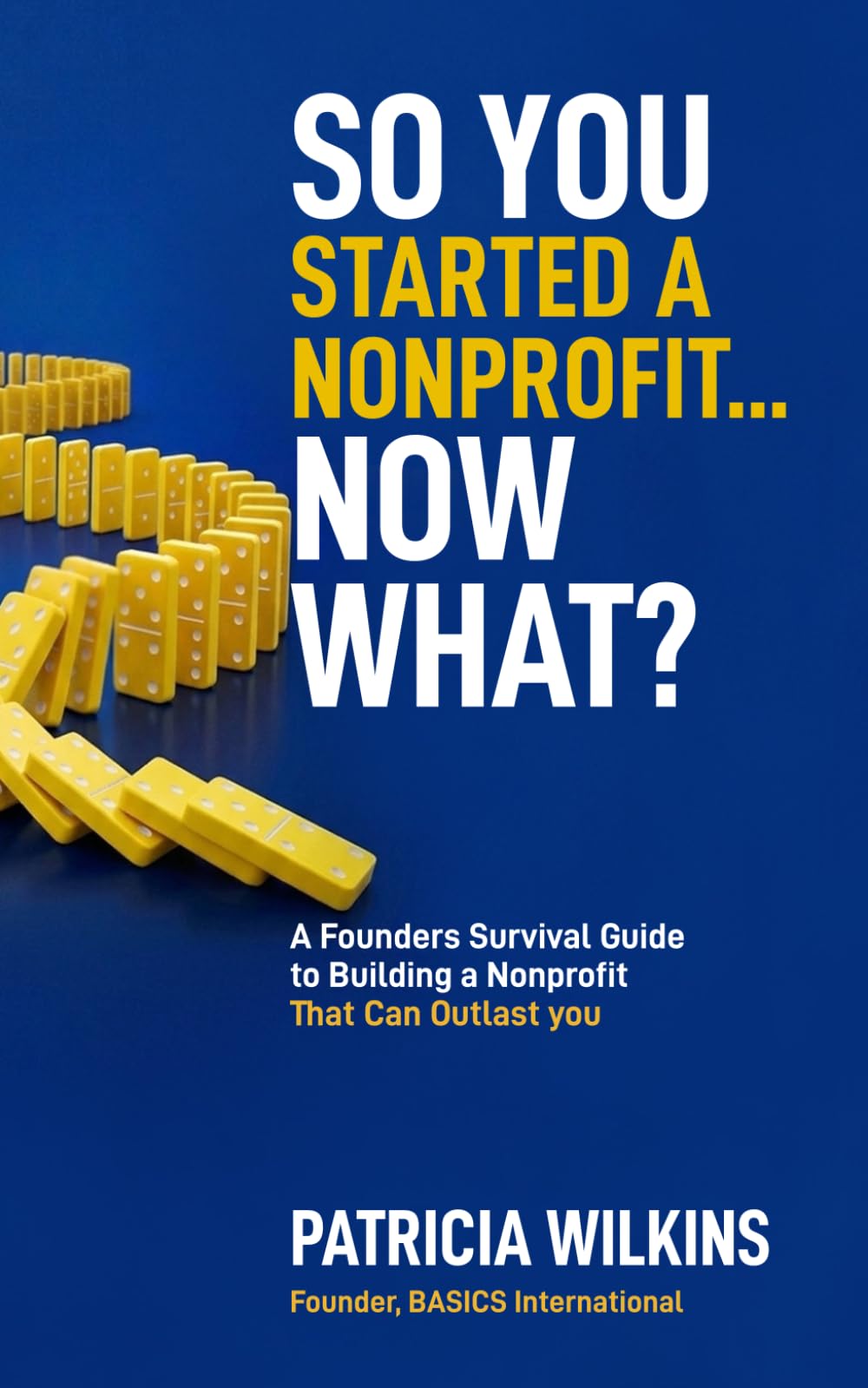 So You Started a Nonprofit - Now What?: A Founder’s Survival Guide to Building A Nonprofit That Can Outlast You