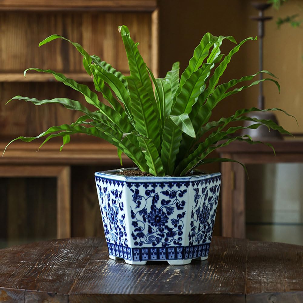 DFGHNBVC Ceramic Planter Pot Hexagonal Chinoiserie Blue And White Porcelain Decorative Flower Pot For Indoor Plants Container With Drainage Hole For Bonsai Plants Flower Aloe Indoor Home D,White