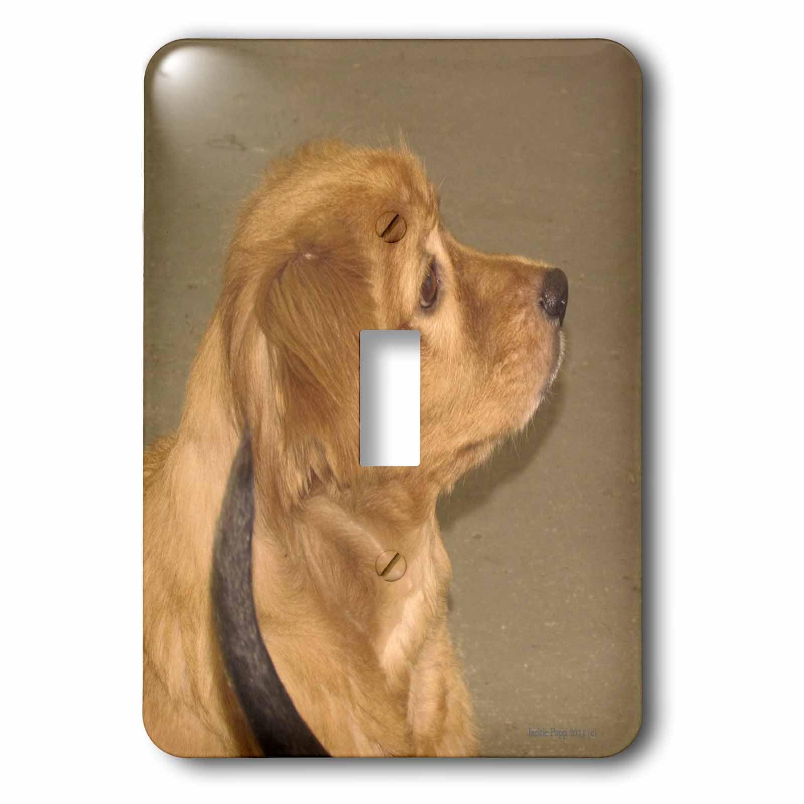 Interrupteur à baïonnette 3dRose LSP_50336_1 motif Golden Retriever pour salon