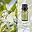 Neroli Organic Essential Oil 100% Pure, Undiluted, Natural, Aromatherapy Orange Blossom Oils 10ML