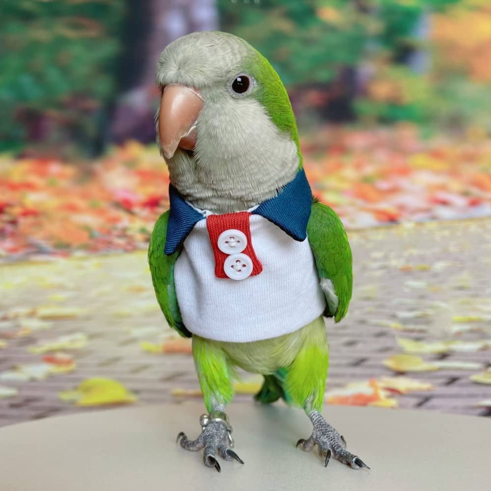 Bird Costume Bird Diaper Flight Suit Bird Summer Clothes Cosplay Photo Prop for Parrots Lovebird Parakeet Cockatiel Small Animals Apparel (Macaw,with Diaper)