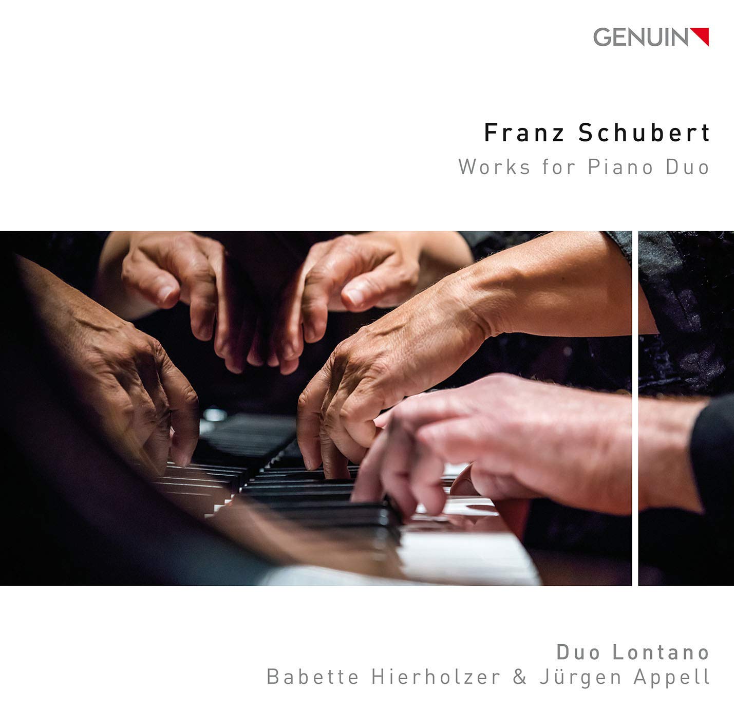 Franz Schubert: Works for Piano Duo