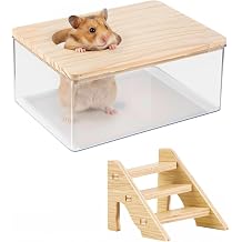 Hamster Sand Bath Hamster Bathing Sand Gerbil Sands Baths Transparent Hamsters Sands Bathroom Hamsters Baths Container with Ladder