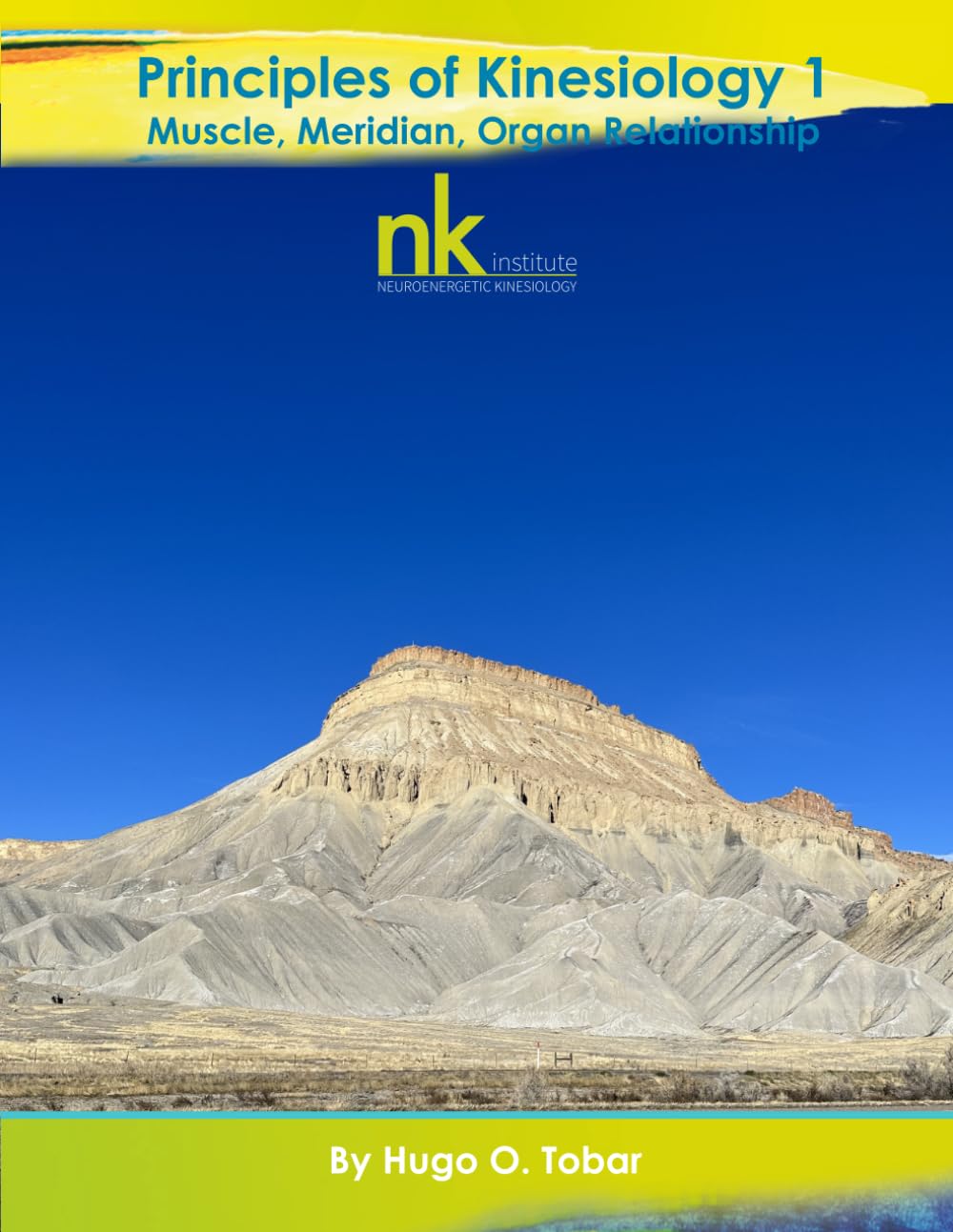 Principles of Kinesiology MCOR Workshop Manual v1.4: The Muscle Chakra Organ Relationship (Neuroenergetic Kinesiology Workshop Series)