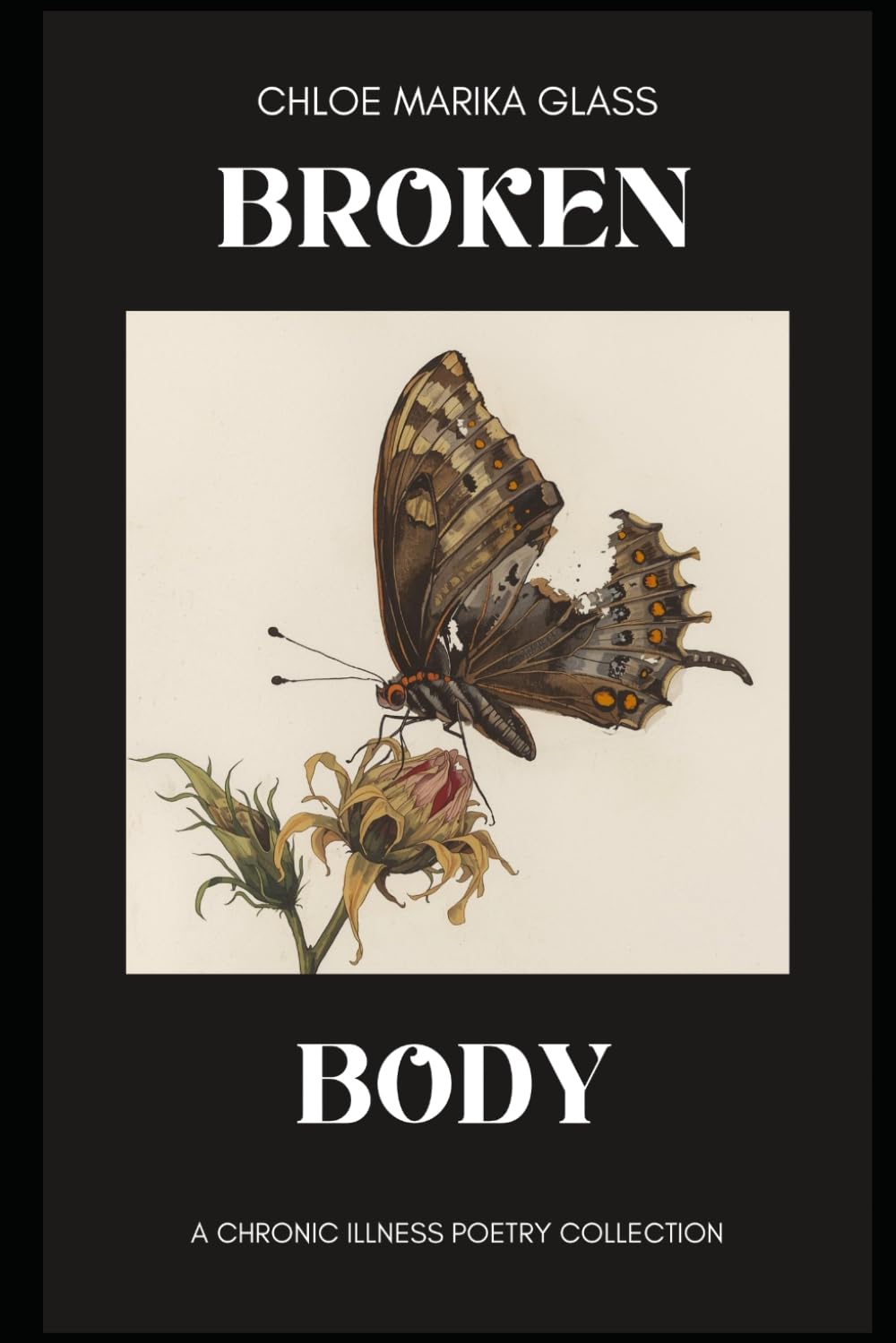 Broken Body: Chronic Illness Confessional Poetry (Midnight Confessions)