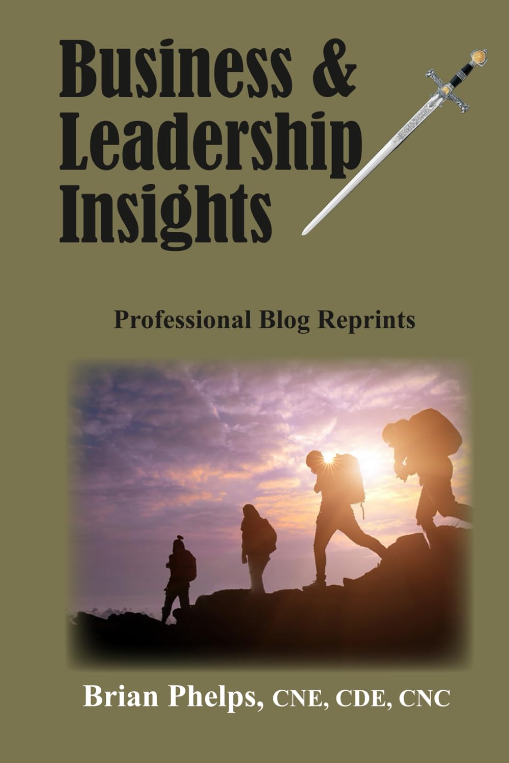 Business & Leadership Insights: Professional Blog Reprints