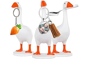 Magnetic Duck Holder: The Cutest Home Décor For Your Keys