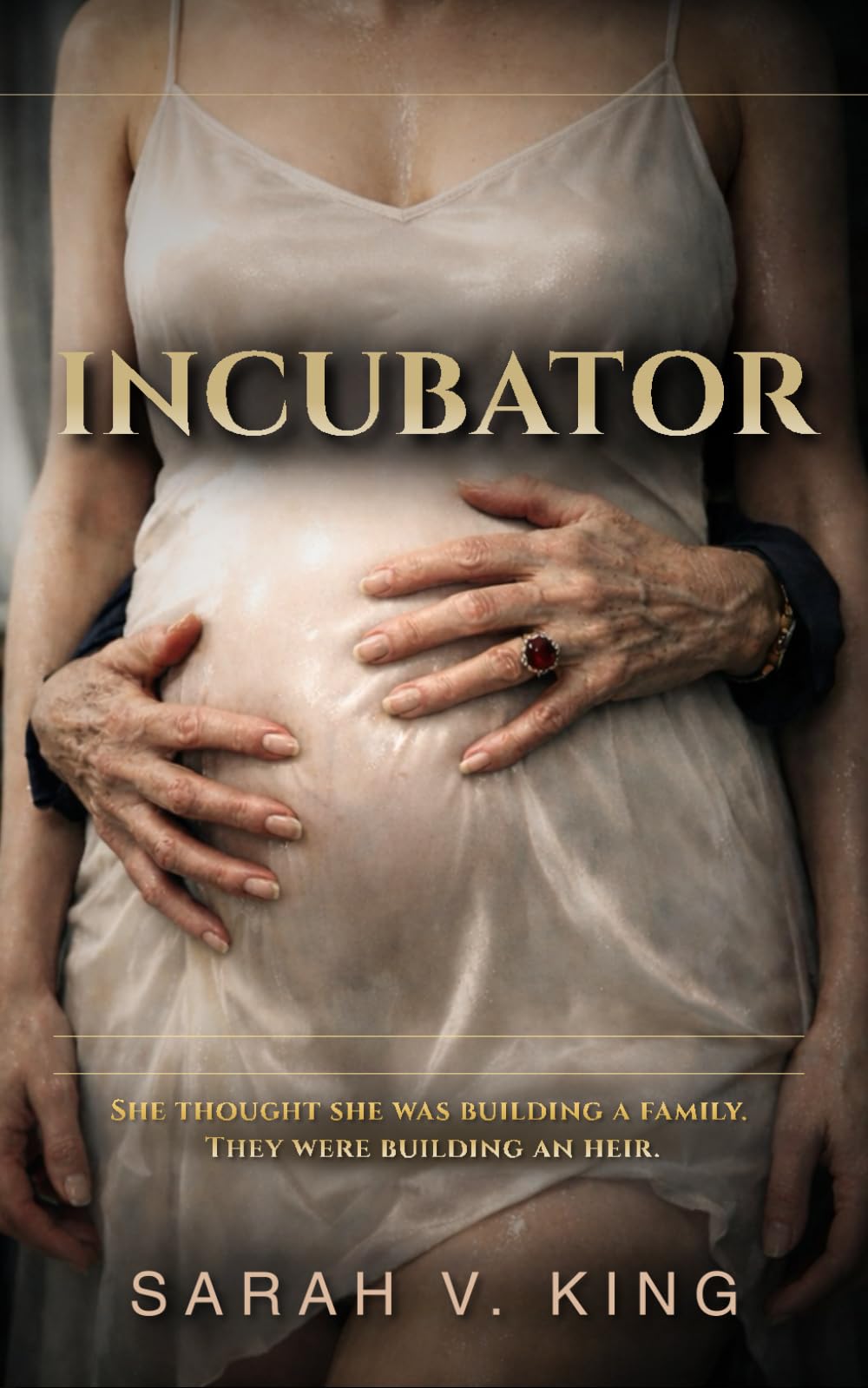 INCUBATOR: A Psychological Thriller of Control, Motherhood, and Inheritance
