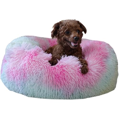 Rainbow Donut Dog Bed Small Washable,Calming Dog Bed for Small Dogs,20 inches Donut Fluffy Pet Beds,Anti Anxiety Round Fits up to 10 lbs Soft Warm Pets Beds for Puppy Dogs Indoor