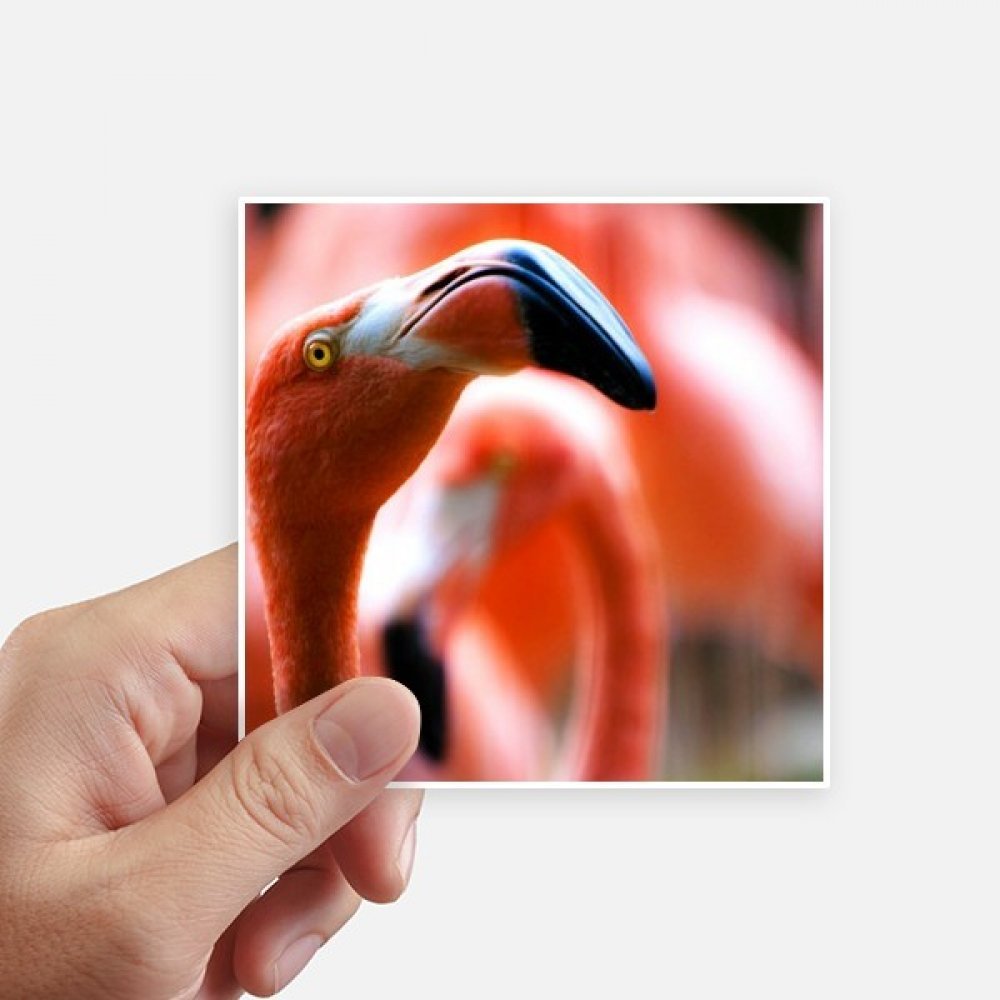 Sticker Flamingo 10cm étanche et résistant pour valise et moto - Lot de 8