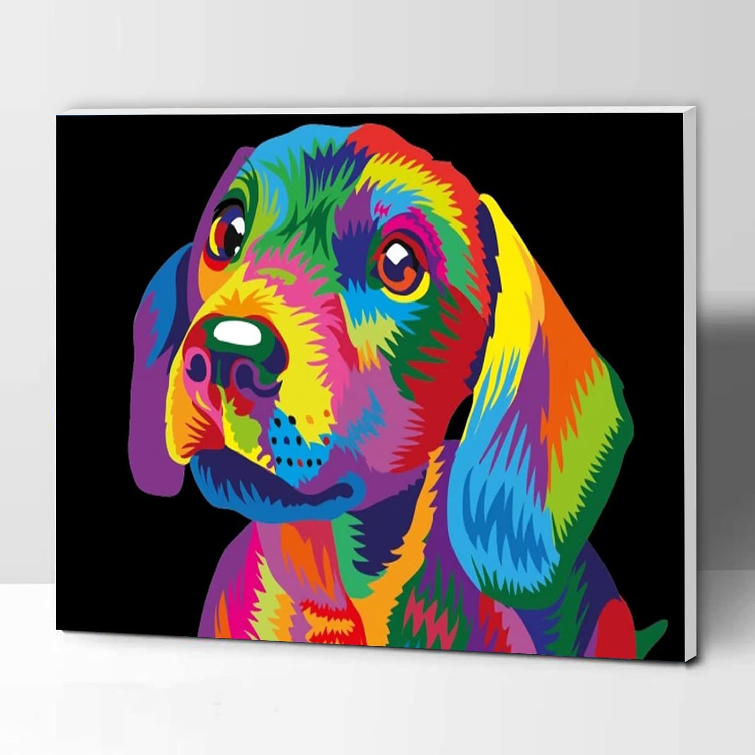 ifymei Paint by Numbers for Kids and Adults Beginner, DIY