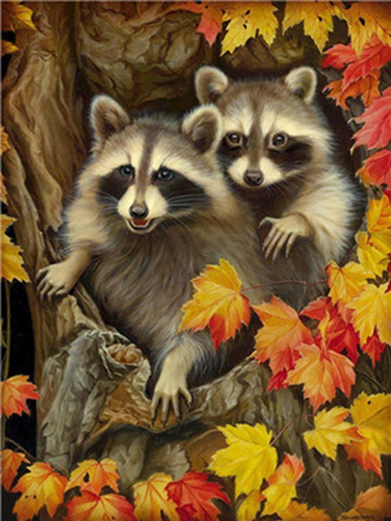 アライグマの親子　油彩画 Amazon.co.jp: LovetheFamily かわいいのアライグマ 数字キットによる