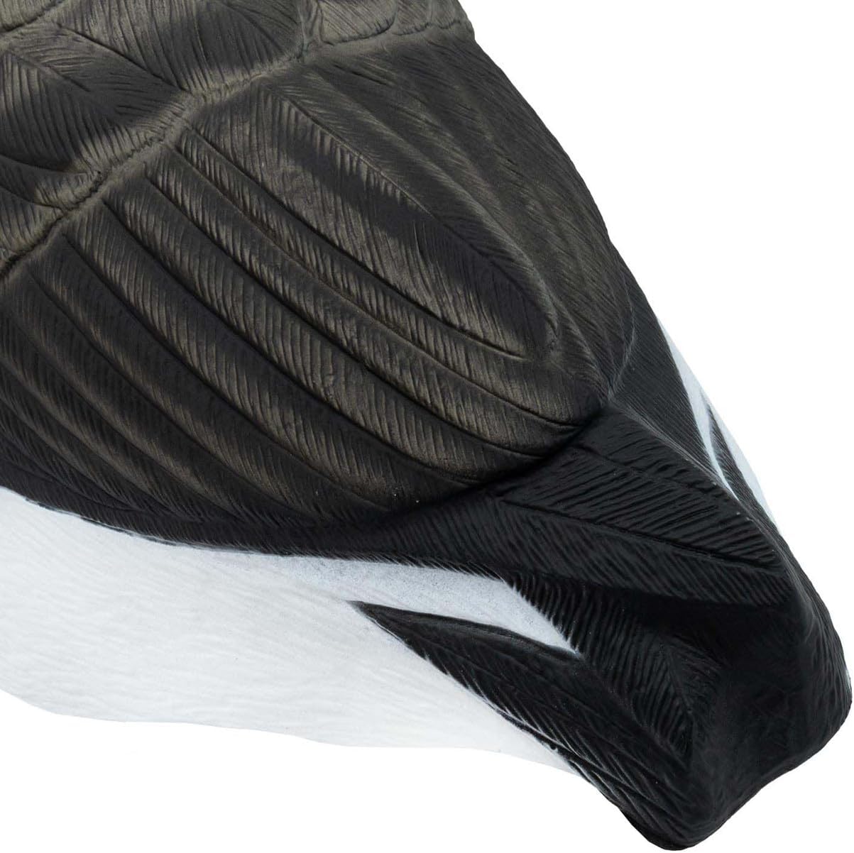 Final Approach Last Pass Honker Sleeper Shell Decoys, 12 Pack