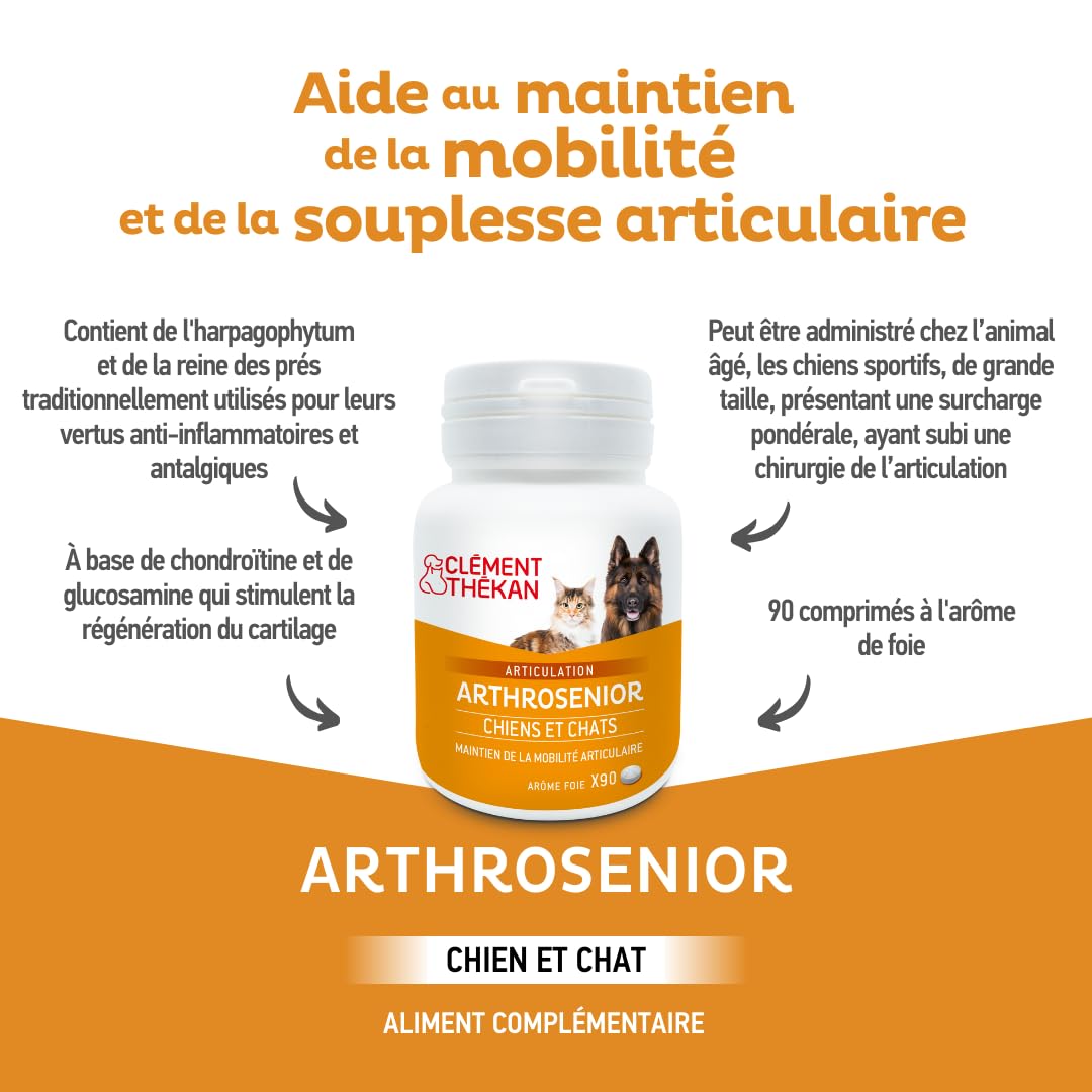 Clément Thékan Arthrosenior Grand Format - Aide à la mobilité articulaire chez Le Chien et Le Chat - Stimule la régénération du Cartilage - 90 comprimés sécables aromatisés