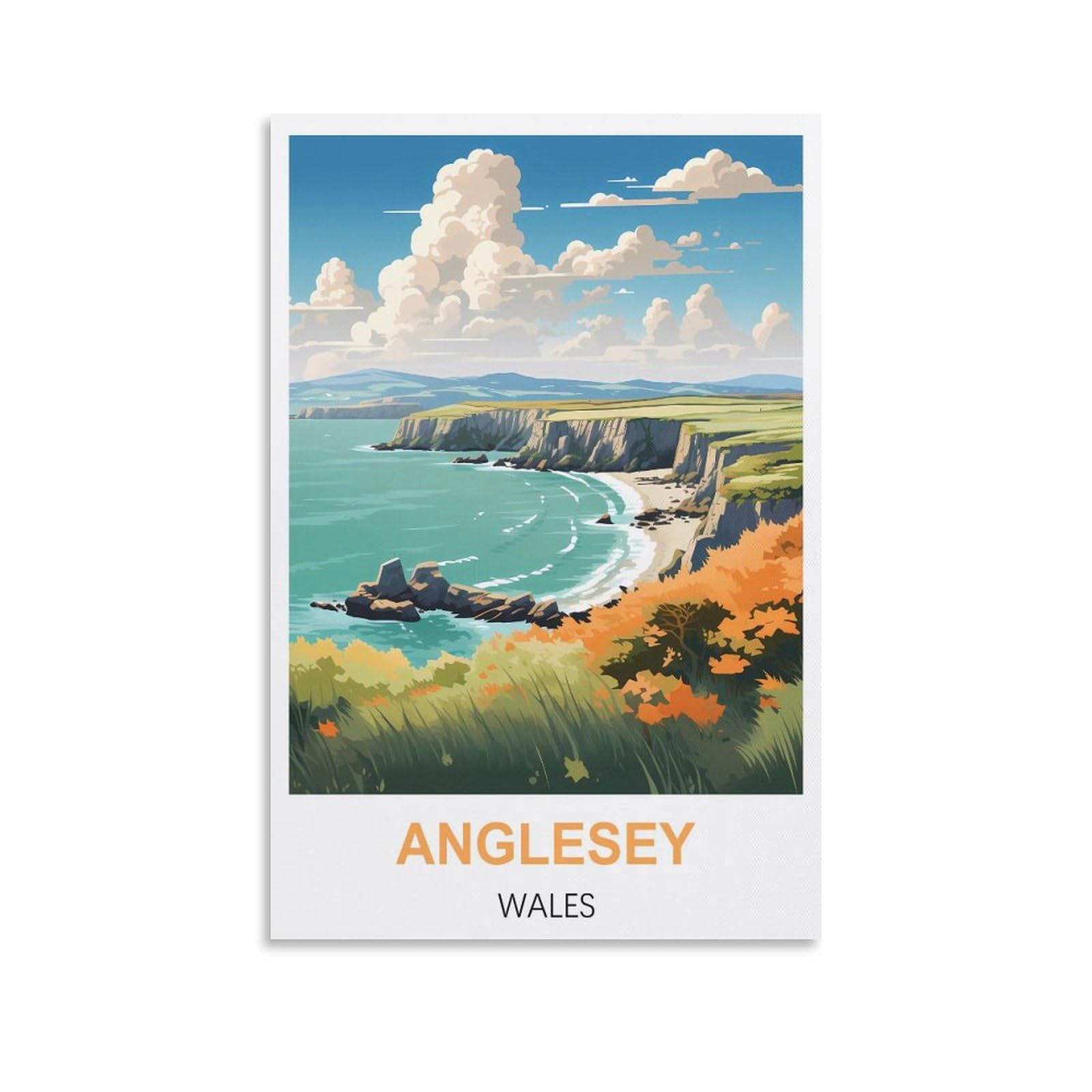 Vintage Metal Tin Signs Anglesey Wales Metal Wall Art Bar Sign for Kitchen Pubs Coffee Metal Wall Decoration 30x40cm