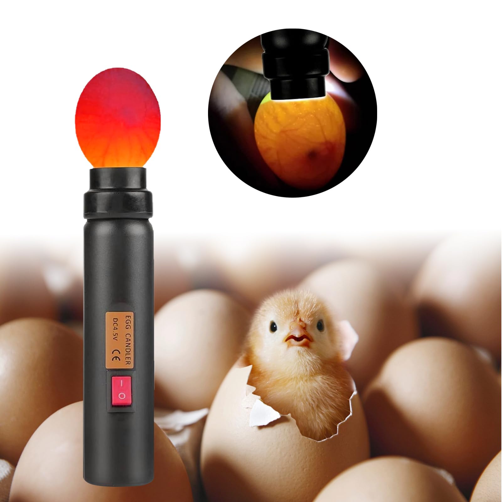 Schierlampe Uova da cova di gallina, lampada per uova di gallina