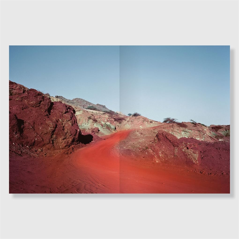 Hoda Afshar: A Curve Is a Broken Line