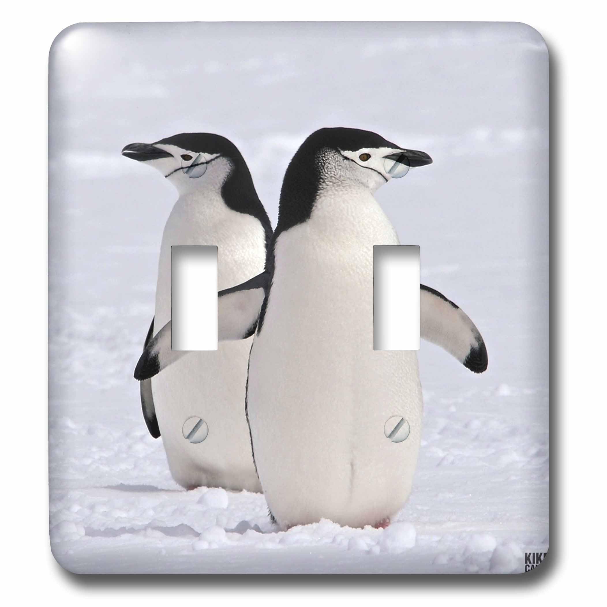 Pingouins à Aitcho Islands double interrupteur à bascule pour double éclairage