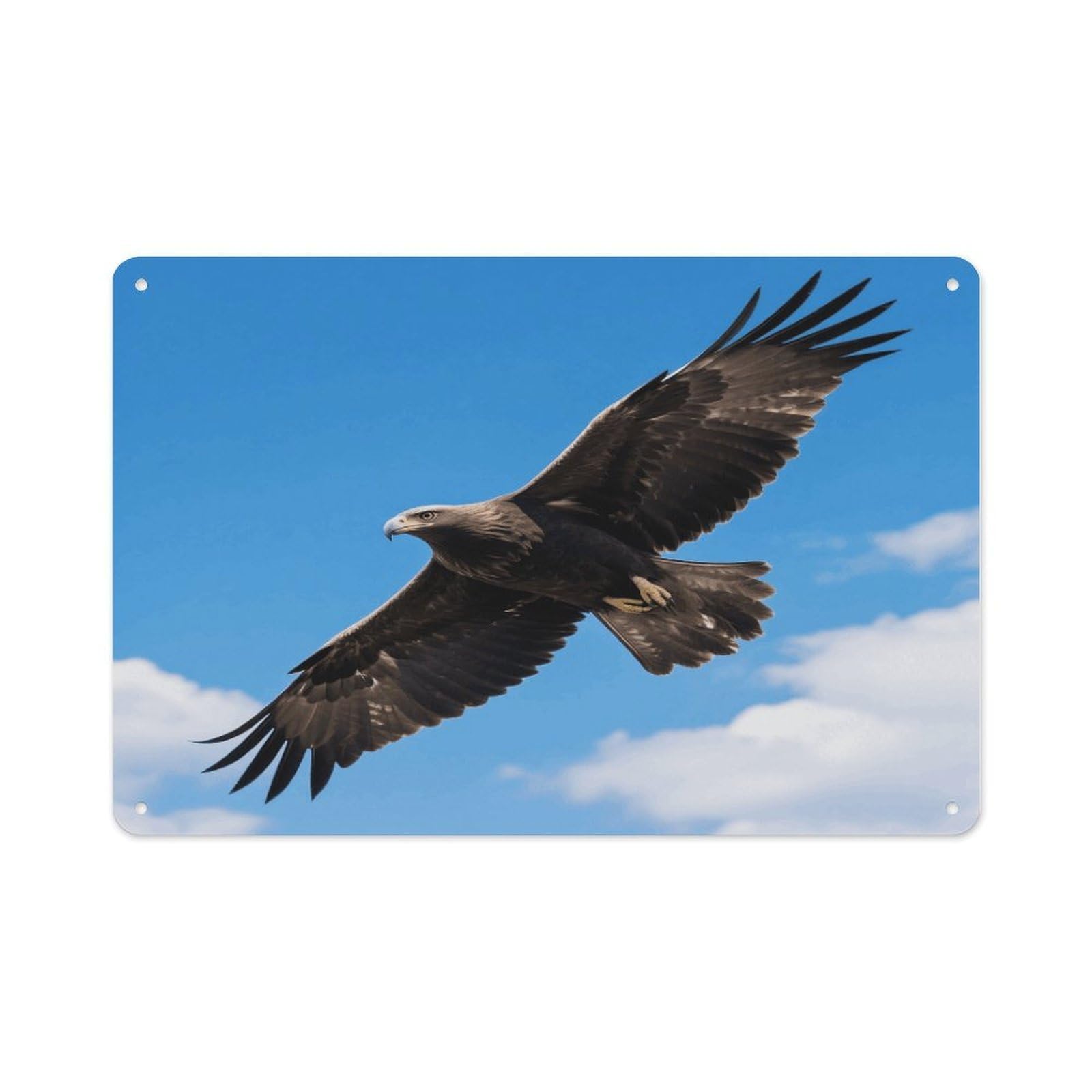 VstaDank Eagle in The Sky Wall Art Prints Metal Sign Decor Painting Aluminum Wall Hanging Decor Vintage Poster Sublimation Picture Panel Weatherproof Art Decorative Wall Decors