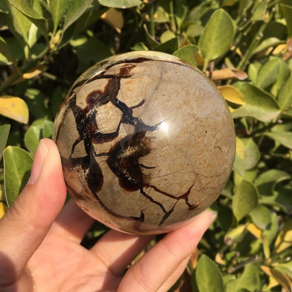 OURVER Decorazione for la casa Drago Naturale Gemma di Cristallo Sfera Sfera s ZUZAOJUYIN